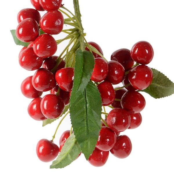 Sweet-cherry-kernal-oil