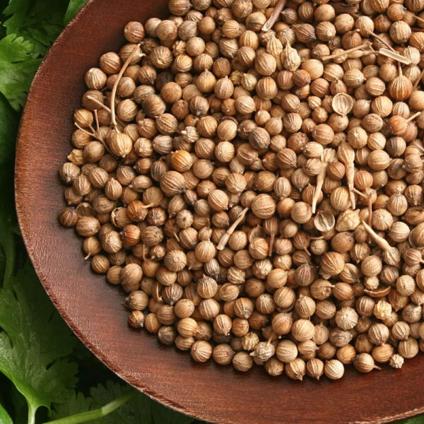 Coriander-Therapeutic-Grade-Oil