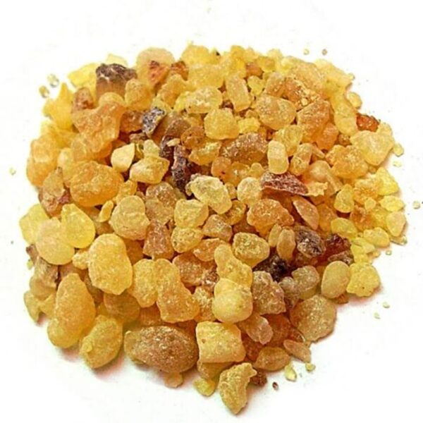 Frankincense Oil