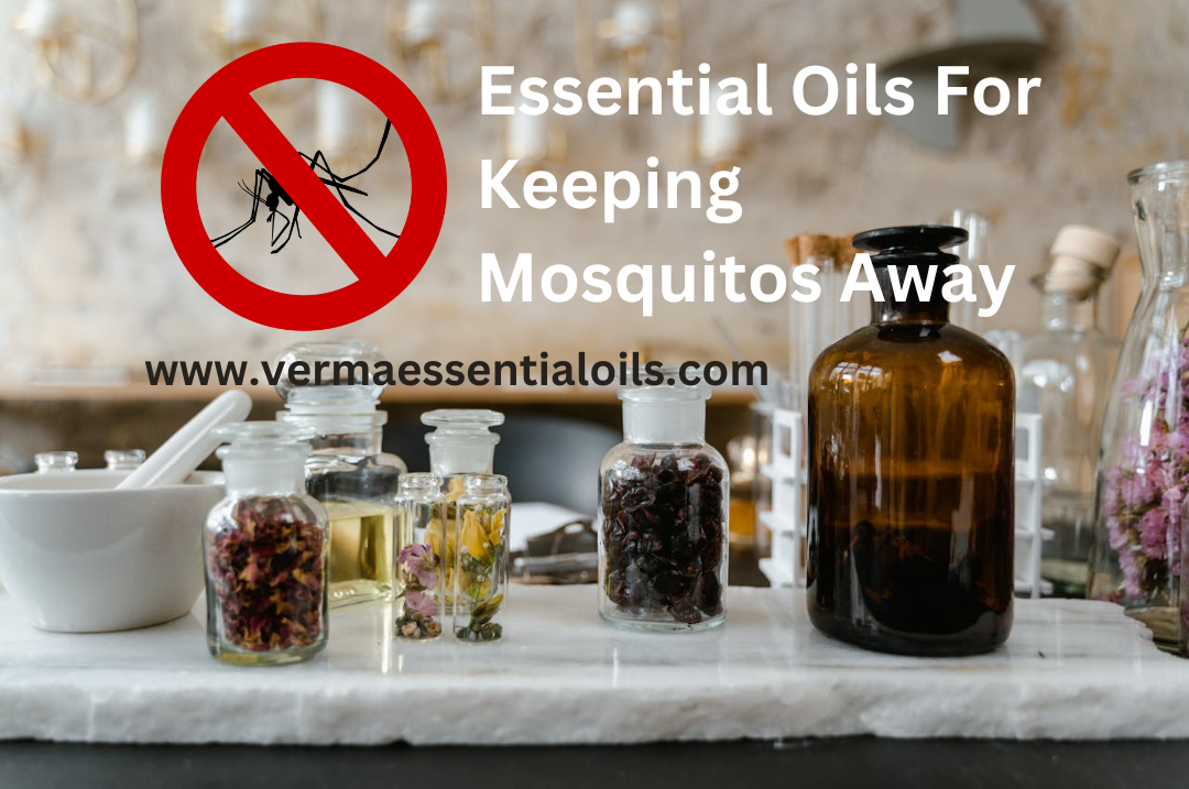 What Essential Oils Repel Mosquitoes